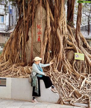 Timbuktu Instagram - My lifetime VIP visiting all the way from Lund and -although it took awhile- she finally found a tree to hug among all these hard to hug trunks out here. Madeleines, minerals, matcha, incense, orchids, kids, kicks, food, walks, talks, jetlag and even a dip in the Pacific. Its been lit Ma and if I clock 82 I pray I'm as cool as you @elainebosak.