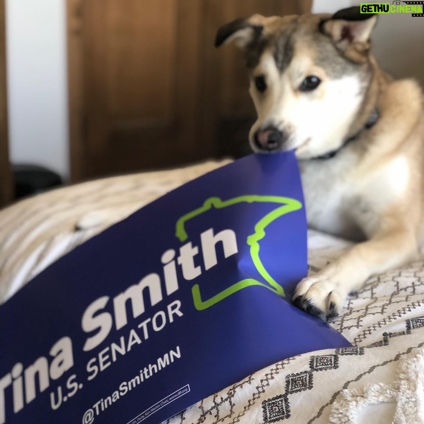Tina Smith - 678 Likes - Dogs for democracy.