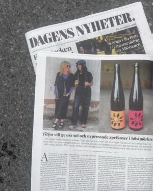 Titiyo Instagram - Titiyo Duett Orange & Rott.
Släpps på Måndag 4 Sept. Beställningssortimentet systembolagets hemsida. Se länk i bio.
Detta vin projekt har jag gjort tillsammans med underbara Pernilla Nilheim.
Ett orange vin från 2021 på druvan Pinot Grigio. Två veckor på skalen och som mognat i gammalt ekfat Barrique.
Ett rött vin från 2022 som är en blandning av blå och gröna druvor Merlot, Syrah, Sangiovese och Pinot Grigio.
Skördats tidigt och mognat i ståltank.
Båda vinerna kommer från vinmakarna Colbacco i Umbrien.
Etiketten är skapad av Björn Kusoffsky & SDL som gjorde omslaget till mitt andra album.
På den välkända Titiyo blomman har vi lyft bort ett blad som ska bli min signering. Alltså mitt tumavtryck på varje flaska.
En pall med Orange och Rott är den totala produktionen så det är verkligen en begränsad upplaga.
Vi är väldigt glada och stolta och hoppas vinet ska ge er ett leende.
Ett 100% hantverksmässigt vin.
TACK🧡♥️
@vinolio_wine
@vini_colbacco @sthlmdesignlab @lottissh @ambarwinebar #naturvin