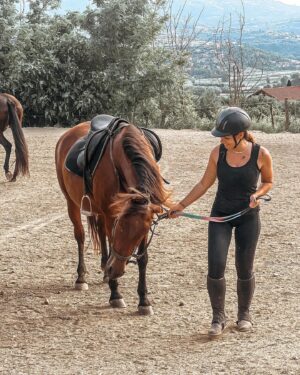 Tjaša Perko Instagram - And the time has come. 🤍 🐎
•
•
•
•
#horse #horseriding #time  #moments #happiness #alwayschooseadventures #challenge