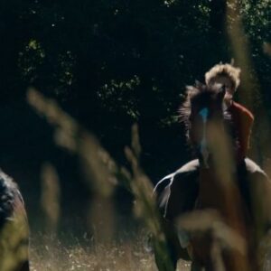 Tobias Santelmann Instagram - UT OG STJÆLE HESTER
Kommer på kino 8. Mars 🐎

Førpremiere på @kosmoramafilm allerede i morgen, Tirsdag 👊

#OutStealingHorses 
#PerPetterson
#HansPetterMoland