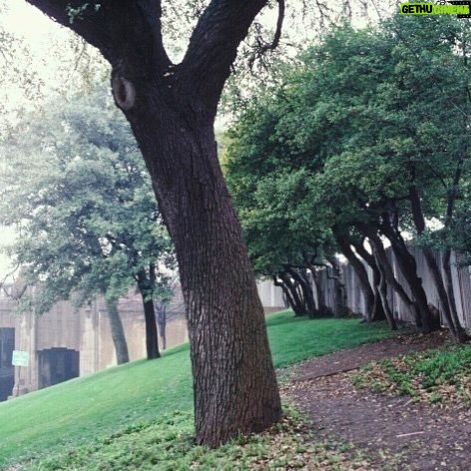 Tobin Bell - 4.7K Likes - 57 years ago today, John Kennedy was taken from us in one of the most painful moments of my lifetime. Last time I was in Dallas, I took this photo of the picket fence, atop the grassy knoll, from behind which I believe the fatal shot was fired. #RIPJFK
