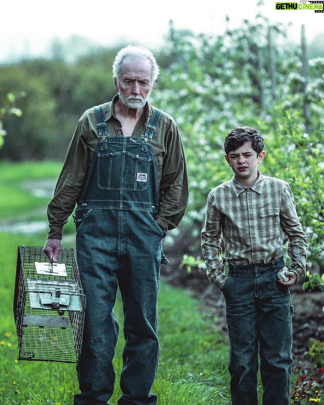 Tobin Bell - 1.6K Likes - Heading to the 🍏orchard with terrific British actor @noahjupe in @stephenking's short story "My Pretty Pony". Directed by Luke Jaden @lukejadenfilms