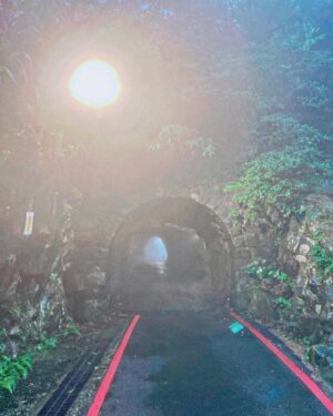 Toby Lee Instagram - 神隱少女之夢遊仙境🧚🏻‍♂️。#千與千尋