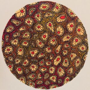 Toby Regbo Instagram - Drawing cells.