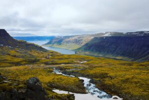 Toby Regbo Instagram - Iceland looks great everywhere. Also an arctic fox! 🇮🇸 🇮🇸 🇮🇸