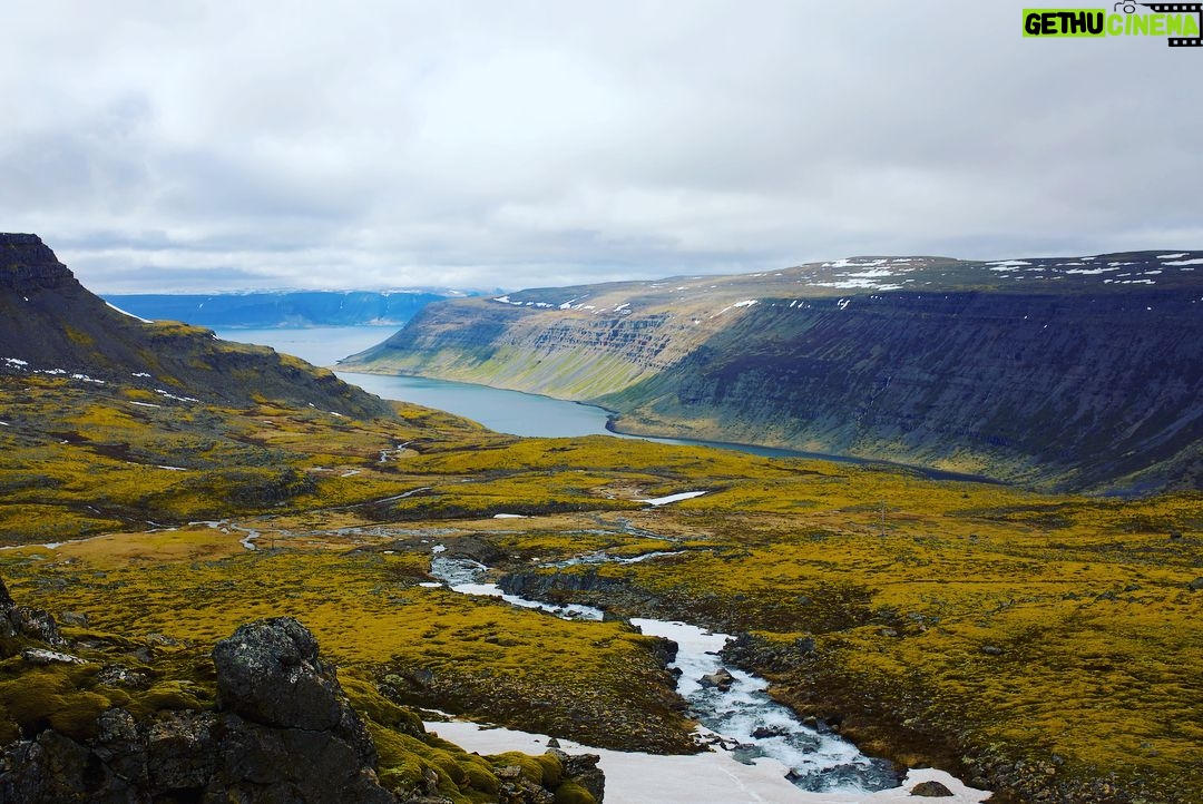 Toby Regbo - 41.2K Likes - Iceland looks great everywhere. Also an arctic fox! 🇮🇸 🇮🇸 🇮🇸