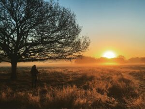 Toby Regbo Instagram - Out in Richmond Park with @lawlwyn looking for chaffinches pretending to be David Attenborough.