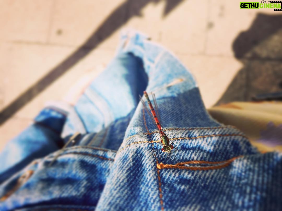 Toby Regbo - 24.2K Likes - Made a friend.
