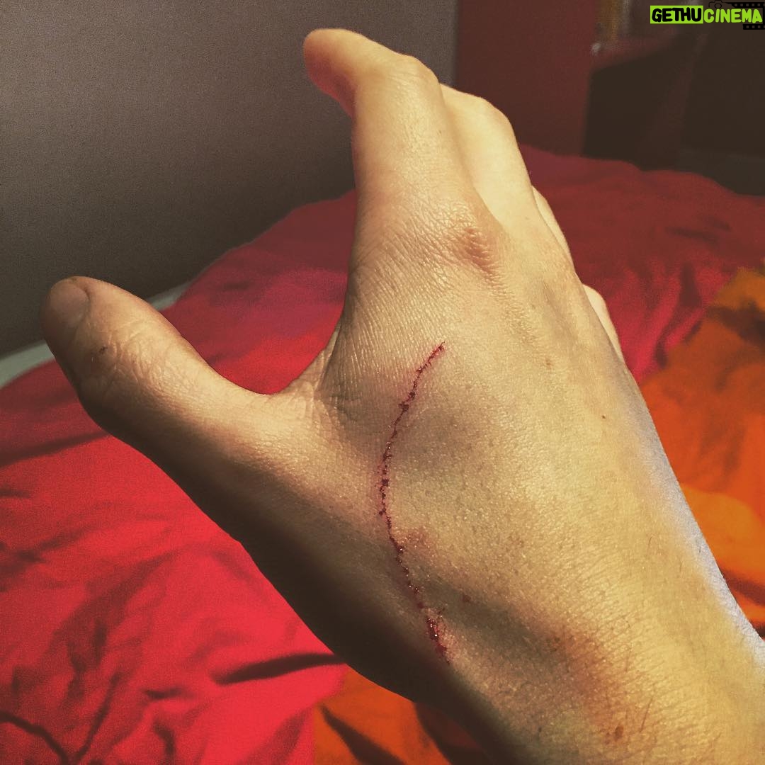 Toby Regbo - 22.4K Likes - Met the cat in the dark.