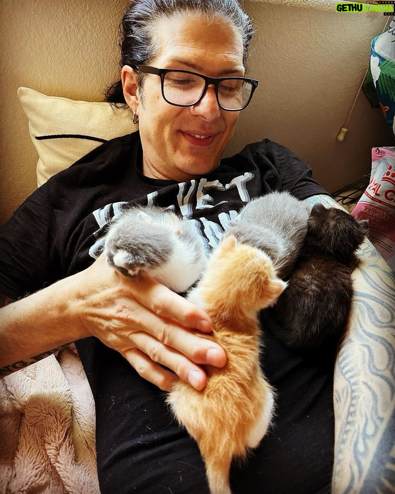 Todd Kerns - 3.9K Likes - One year ago starting at 5:30am til 7:20am all these monkeys were born in our house and it’s never been anything but super lively ever since. I highly recommend taking on such a life changing experience. Mama and babies all have happy, comfortable lives which would have otherwise been out on the street. I can’t imagine such an existence for such a well fed and beloved brood. Happy Birthday, babies!
