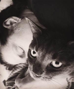 Todd Kerns Instagram - A very happy Birthday to our beautiful beautiful beautiful beautiful boy, BB. Four years old today! Should be a national holiday as far as I’m concerned. My Robin, my Tonto, my Spock. We shall spend his big day napping and eating. A usual day for him but one should always do their favorite activities on their birthday. Happy Birthday, BB!