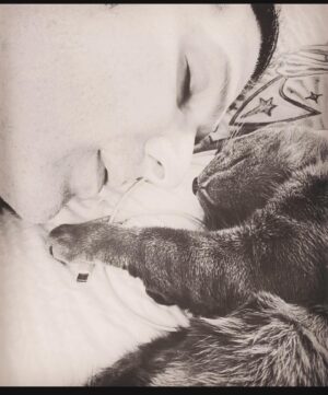 Todd Kerns Instagram - A very happy Birthday to our beautiful beautiful beautiful beautiful boy, BB. Four years old today! Should be a national holiday as far as I’m concerned. My Robin, my Tonto, my Spock. We shall spend his big day napping and eating. A usual day for him but one should always do their favorite activities on their birthday. Happy Birthday, BB!