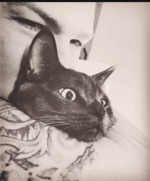 Todd Kerns Instagram - A very happy Birthday to our beautiful beautiful beautiful beautiful boy, BB. Four years old today! Should be a national holiday as far as I’m concerned. My Robin, my Tonto, my Spock. We shall spend his big day napping and eating. A usual day for him but one should always do their favorite activities on their birthday. Happy Birthday, BB!
