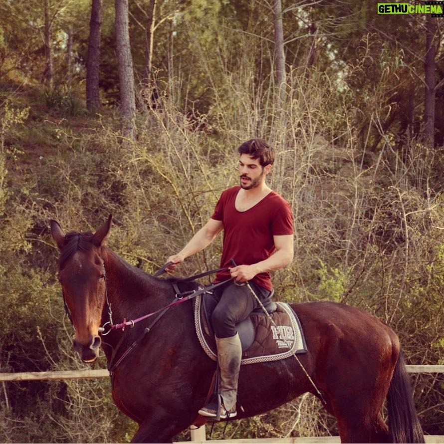Tolga Mendi - 67.6K Likes - 