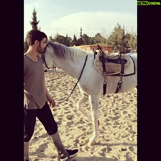 Tolga Mendi - 66.6K Likes - 