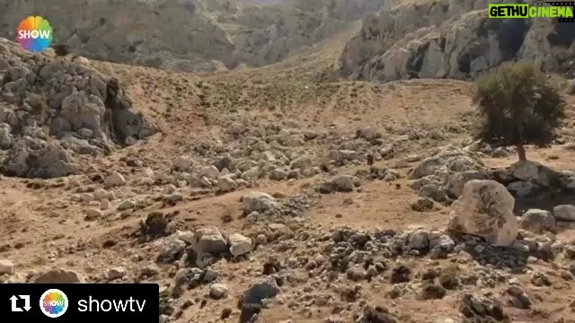 Tolga Mendi - 58.9K Likes - #Repost @showtv with @get_repost
・・・
"Hastayı kaybediyoruz!"
#YeniGelin'in yeni sezon tanıtımı yayında! Yakında Show TV'de başlıyor! @ersoyguler @surecfilm @yenigelindizi @jessicamayofficial @tolgamendi @mavkran @mustafacavusofficial @renan.bilek @semakecikkarabel @umityesin @burcinbildikofficial @daghankulegec @zeynepkankonde @yoncasahinbas @basarlale @halilibrahimkurum @feridehilalakin @baharrsuerr @irtemece 
GELİYORUZZZ!!!