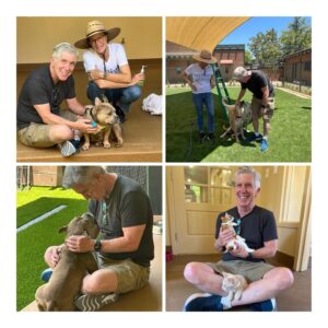 Tom Bergeron Instagram - Made some new four-legged friends today at @eastwoodranch (pics by @coachfarrahsmith)