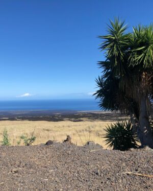 Tom Bergeron Instagram - A few parting shots taken during yesterday’s drive from Hilo to Kona to catch my flight back to CA 🌺🤙🏻 #aloha