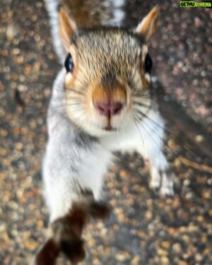 Tom Scott Instagram - 🐿