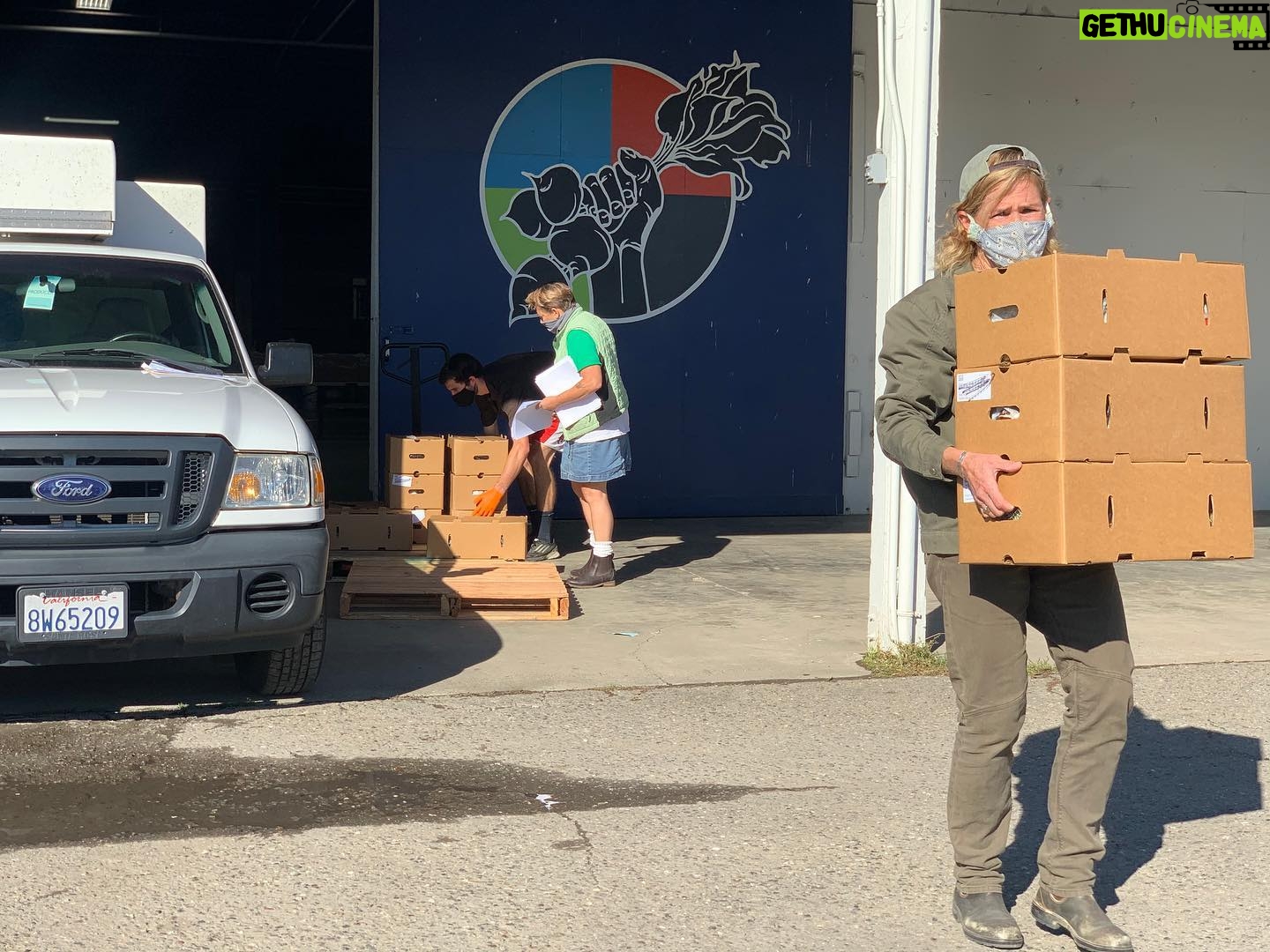 Tom Steyer - 1.6K Likes - Yesterday my partner Kat worked with @duskie_estes to help @farmtopantry drop off fresh produce from California Farmers to community centers in need. She also helped pack boxes that will feed families during the upcoming holiday. Her commitment to service through her Growing The Table Initiative is an inspiration to all. #growingthetable