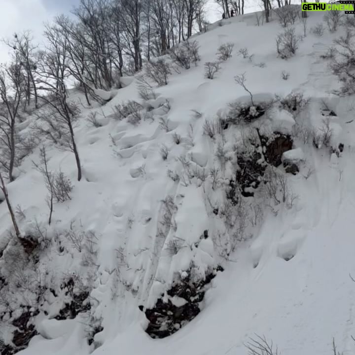 Tom Wallisch - 4.1K Likes - Amazing trip to Japan with @lineskis this past season! See all the footage in ‘Tokujo Buta’ out now on Line’s YouTube. Link in BIO. Photos by @steve_reed