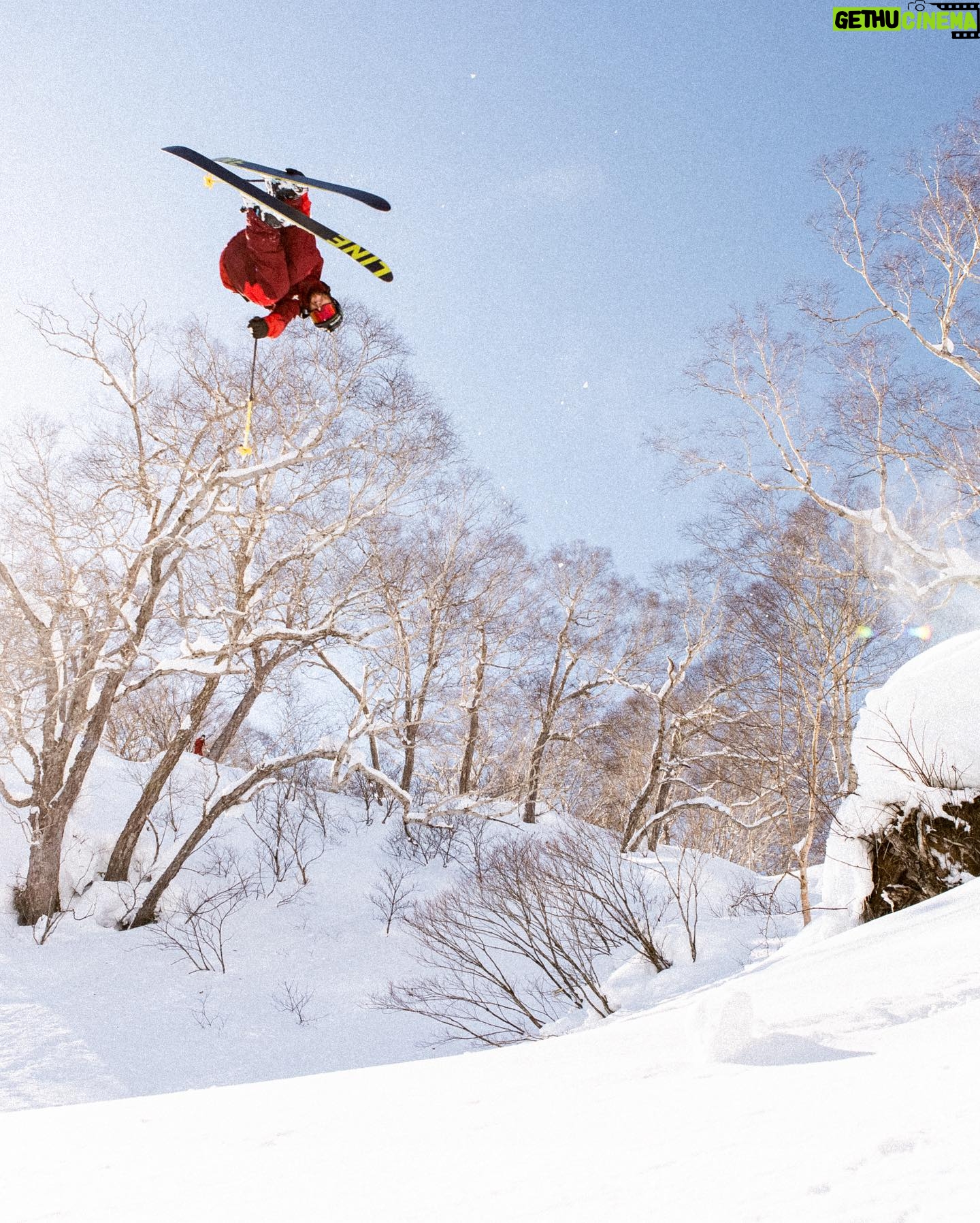 Tom Wallisch - 4.1K Likes - Amazing trip to Japan with @lineskis this past season! See all the footage in ‘Tokujo Buta’ out now on Line’s YouTube. Link in BIO. Photos by @steve_reed