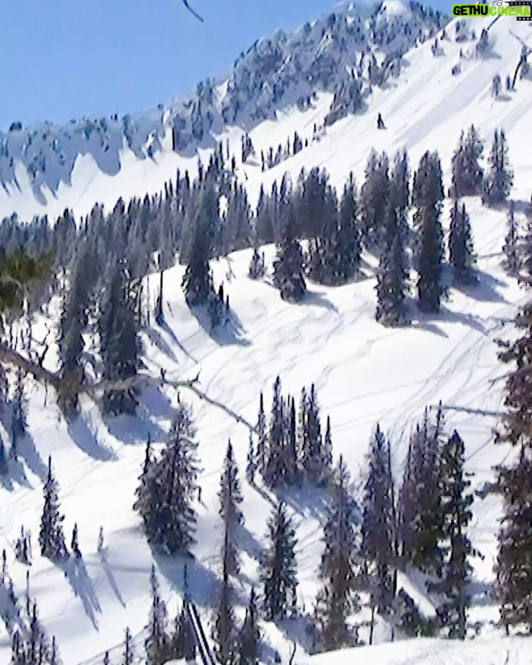 Tom Wallisch - 7.5K Likes - Haters will say we’re using camera tricks and this is really a park at a resort.
v\ @jakestrassman
See why it’s not. ‘Rail Tail’ live now.
#LINEbacon • #LINEskis #SKIandDESTROY