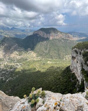 Tom Wlaschiha Instagram - Mallorca hike

#islandlife