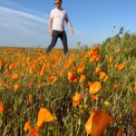 Tom Wlaschiha