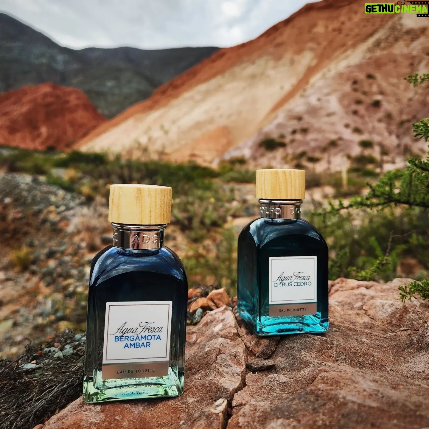 Tomás Fonzi - 7.4K Likes - #aguafrescanadamas #adolfodominguezperfumes
"¿Sabías que las aguas frescas de Adolfo Dominguez vienen en frascos reciclados, reciclables y reutilizables?"
#bergamota&ámbar
#citrus&cedro
#tremendasfragancias
#nopuedoelegir
#megustanmuchoambaslasdos