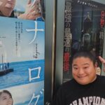 Tomisakae
