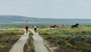 Tommy Caldwell Instagram - Connecting climbing objectives by bike is so different than  touring on proven routes. We decided to cross the southern Wyoming desert (red desert, link in bio to watch Patagonia’s film about protecting this place) via dirt roads that sometimes turned into nothing more than cattle tails. When you drive  I-80  you miss so much. Wild horses, countless pronghorn. Rainbows, and epic sand dunes. We felt we were about as remote as you can get in North America. The pain of 10 hours a day of bone rattling biking has a way of warping time. Only 4 days in I felt like we had been moving for weeks.  My heart already aches for my family but am grateful to be  on a grand adventure with Alex. 

📸and🎥by @taylor._shaffer