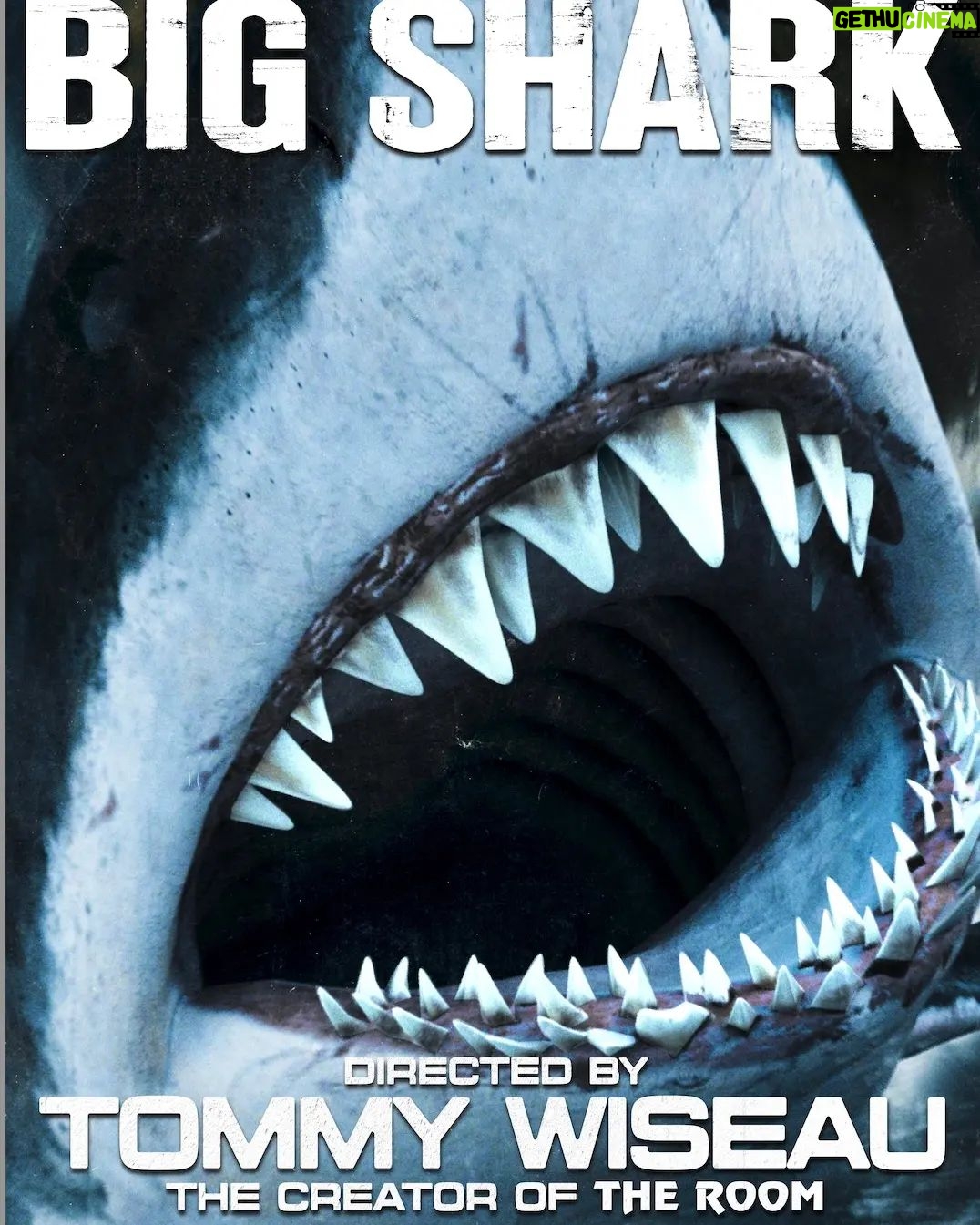 Tommy Wiseau - 9.7K Likes - Watch Big Shark Dec. 22, 2023 in the following cities !!! New York / San Diego / Honolulu / Dallas /Sacramento / Bakersfield !!!
Check TheRoomMovie website
TW Sports Boxer $5.99
Check TommyWiseau website
TW White Love is Blind Jacket $19.99
Check TommyWiseau website