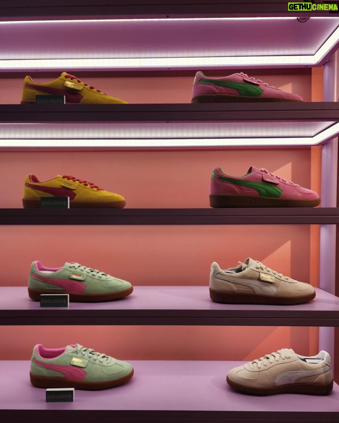 Tomo Visava Thaiyanont - 23.3K Likes - 👟
@PUMATHAILAND
#PUMATH #TEAMPALERMO #PUMAPALERMO