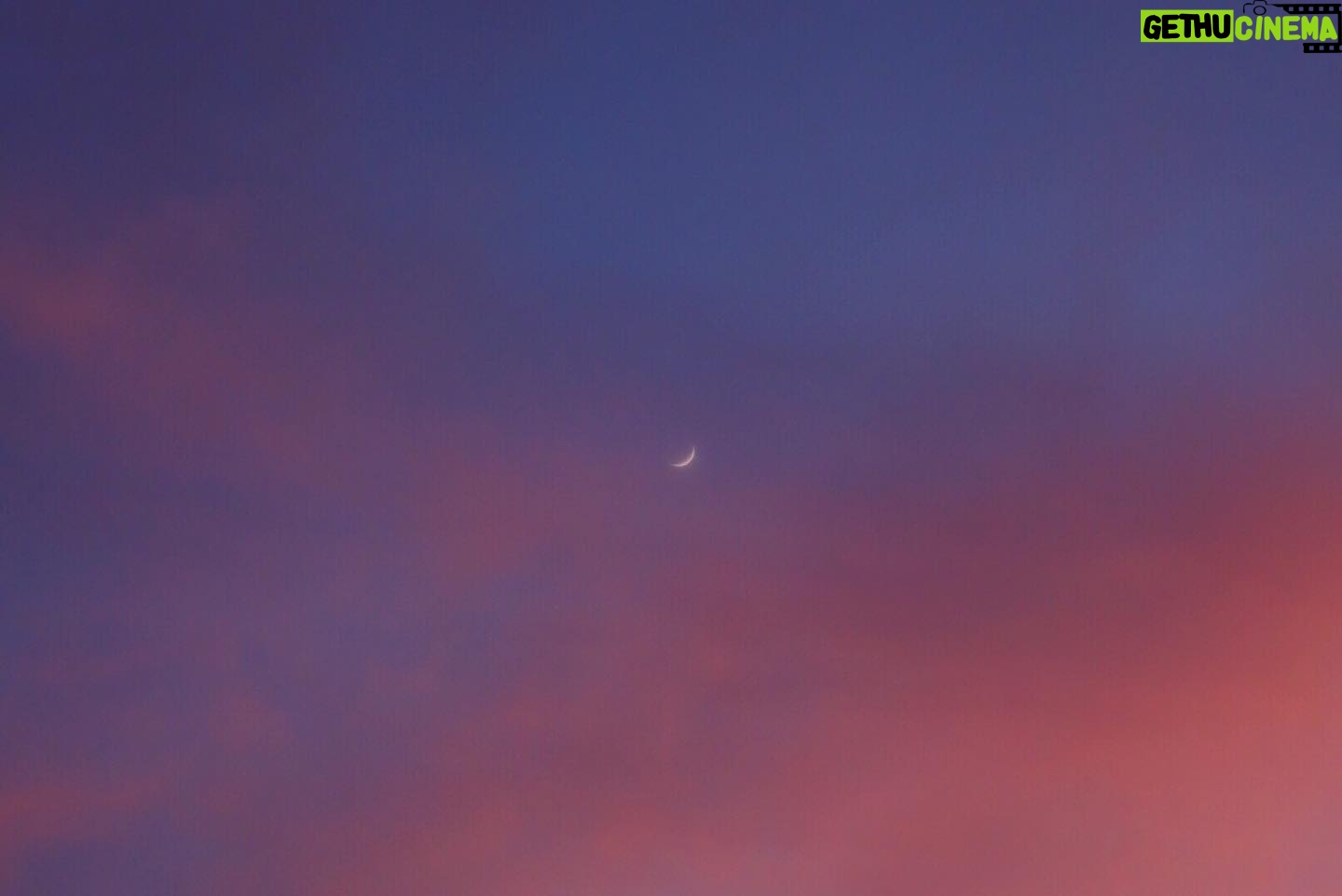 Tomo Visava Thaiyanont - 20.8K Likes - 📷🌙