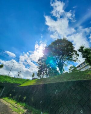 Tomo Visava Thaiyanont Instagram - 🌳🌱🌲