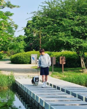 Tony An Instagram - 촬영날 날씨가 너무 좋아서 얼굴은 부었지만 
댕댕이와 산책하며 정말 기분좋게 찍은
#더마독 지면촬영~ 월드야 미안하다 ㅜㅜ
#토니안#반려견#dermadog#컬러풀데이즈더마독