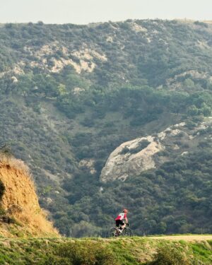 Tony Cavalero Instagram - Had a wild bike sesh with Atiba today 🚴‍♂️ The uphills had us questioning our life decisions! Then we had the most epic lunch ever. Also, may or may not have done some not so legal things near the Hollywood sign 🪧🏴‍☠️