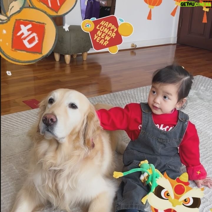Tony Hung - 13.9K Likes - 洪氏一家祝大家新年快樂🍊
新一年龍精虎猛🧧
身體健康健康健健康康🧡!!!!!
圖2: 如何令Molly同Sirface咁乖坐定定講埋祝賀說話?
係零食呀😆😆😆
@guruhung @mollynamber