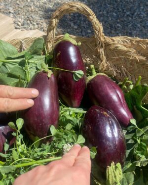 Toprak Sergen Instagram - Hand in hand ❤️♾️ 🍀🍓🫐🥬🫘🍆💜 👩🏻‍🌾🧑🏻‍🌾@topraksergen