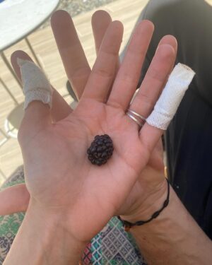 Toprak Sergen Instagram - Hand in hand ❤️♾️ 🍀🍓🫐🥬🫘🍆💜 👩🏻‍🌾🧑🏻‍🌾@topraksergen