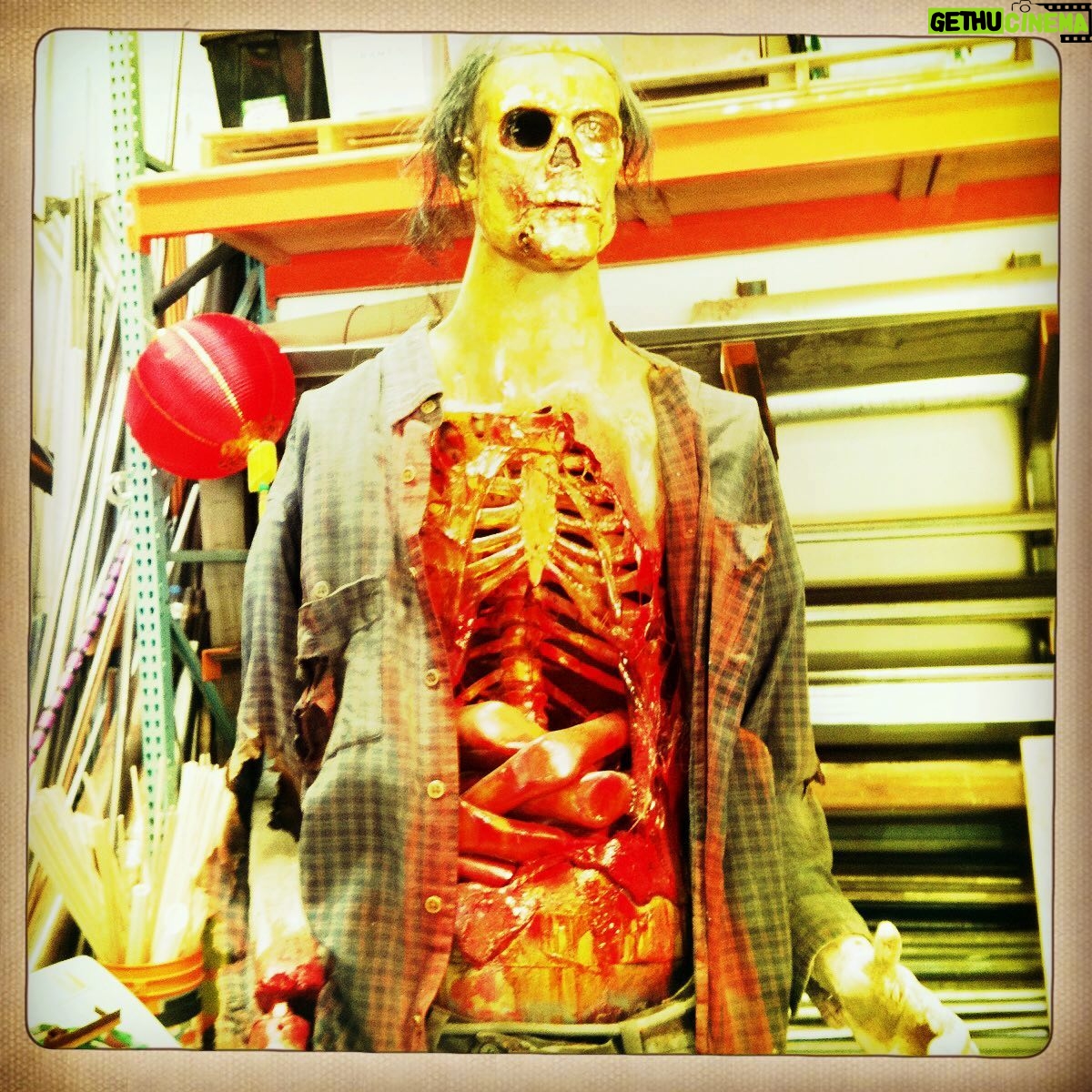 Tory Belleci - 2.5K Likes - That time I made a zombie and it tried to kill me so I filled his head with Tannerite and blew him up. @tanneritesports #mythbusters #zombie #halloween