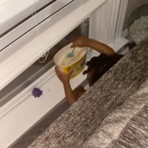 Toya Johnson Instagram - #repost @reign_beaux 😂😍❤️ “This little girl is touching every damn thing in this house.  She went and took the ice cream out of the freezer and put it on the side of the couch then took her pjs off, got her a spoon and started eating her ice cream. 🤣 @colormenae come get your sister 😩”