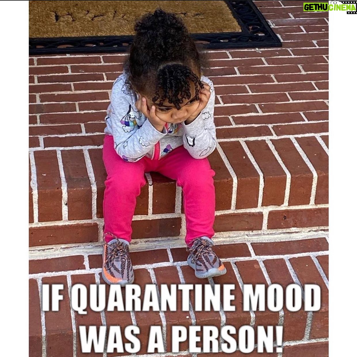 Toya Johnson - 737 Likes - Period 🤣🤣🤣!!!