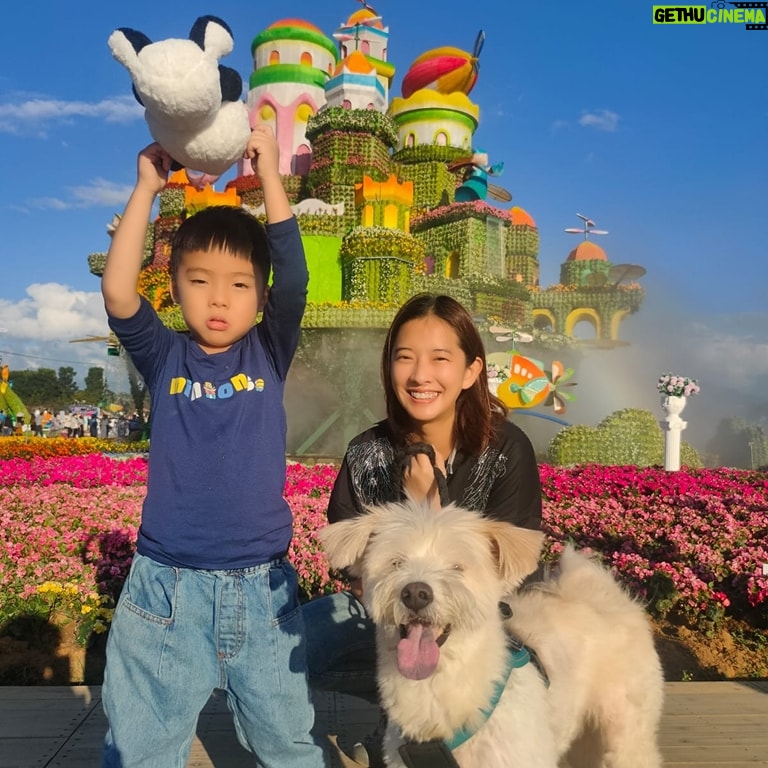 Tracy Chou - 625 Likes - 聖誕近了
那天小人說:“聖誕老公公是假的”
我問為什麼?
他說:“人怎麼可能飛在天上,不合理”
我心想,終於到了跟他解釋聖誕老公公的時候了!
話還沒出口,他小子就接了一句:
“要也是開車來,或是坐車子來”
“所以聖誕老公公大包小包地搭車送禮物嗎?”我問。
“對阿”............................
好吧,明年再解釋😂
祝大家時常喜樂
心裡有平安
#聖誕快樂