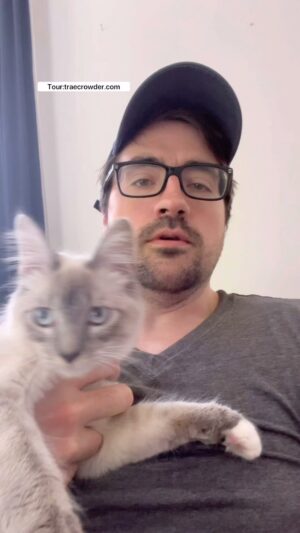 Trae Crowder Instagram - I love everywhere (featuring Gravy [a cat]) #traecrowder #seemelive #linkiswherethelinksgo