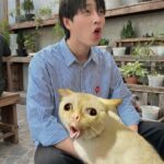 Trần Lê Đức