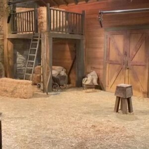 Trevor Tordjman Instagram - Words can’t describe how much everyone who went into the making of this show mean to me. I will never forget the memories we had together. That’s a wrap on Bunk’d: Learning The Ropes! 🤠
