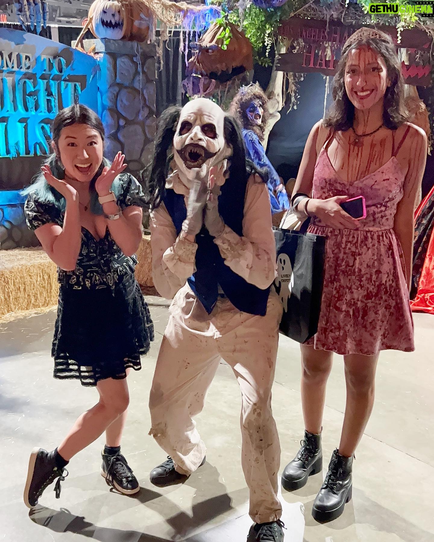 Tricia Fukuhara - 2.3K Likes - Since it’s officially September… that means we can start decorating for Halloween, right? 😻💀🖤👻🎃🤡🔪
#midsummerscream #midsummerscream2023 #halloween #horror #spookyseason